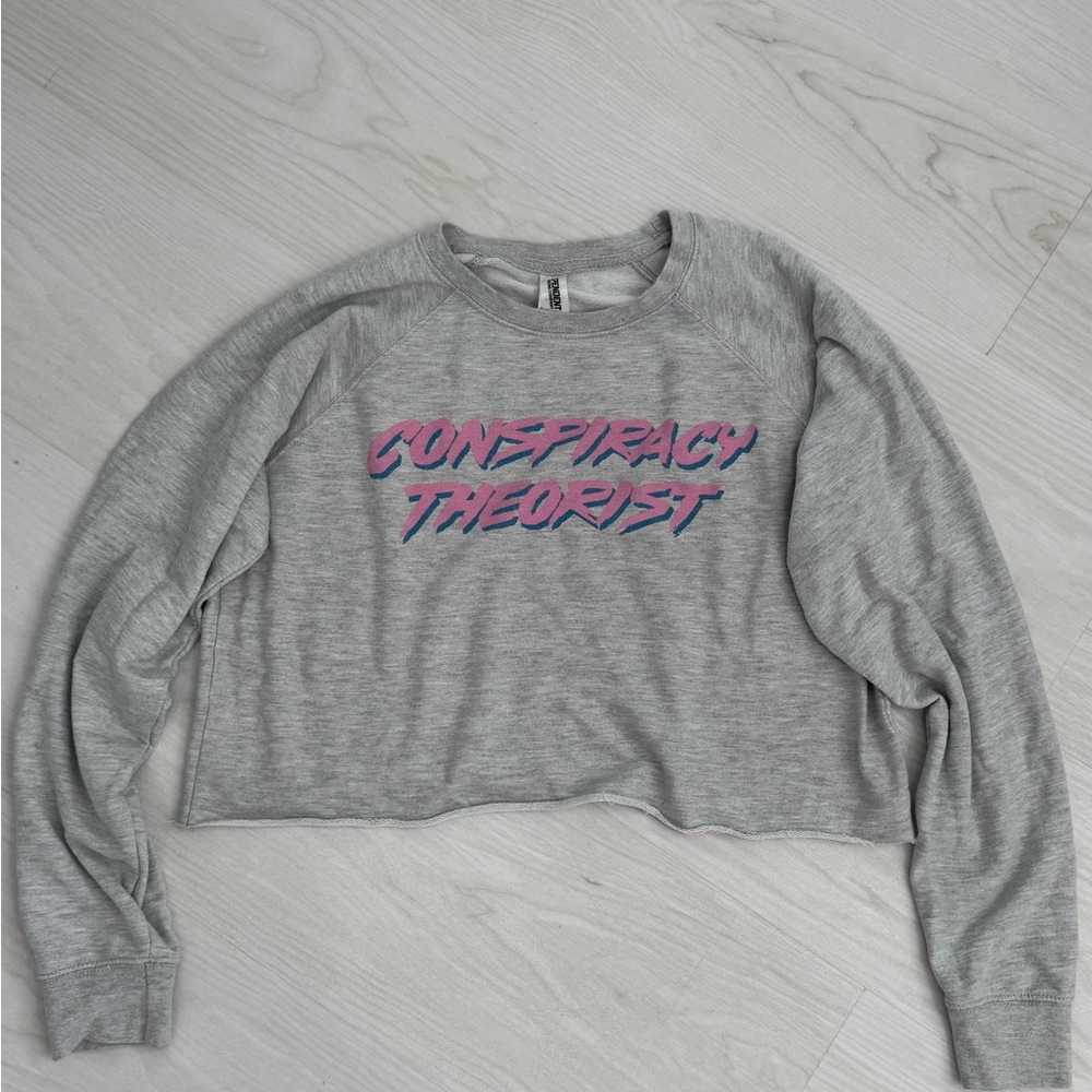 Gray Cropped Sweatshirt